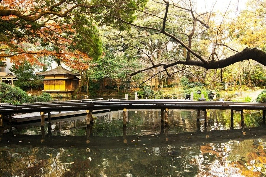 慶喜公が作庭した庭園の名残が感じられる池泉回遊式庭園