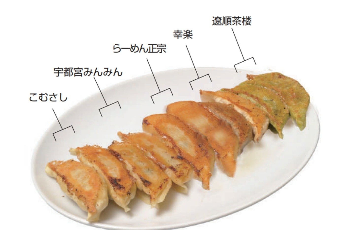 左から2個ずつ、こむさし・宇都宮みんみん・らーめん正宗・幸楽・遼順茶楼の餃子の盛り合わせ840円