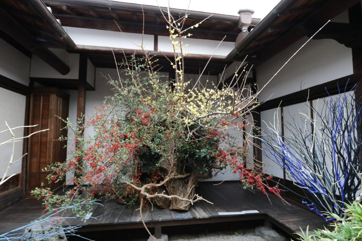 歴史あるうだつの残る町並みを舞台に、假屋崎省吾さんが紡ぐ華やかな美の世界を堪能できます