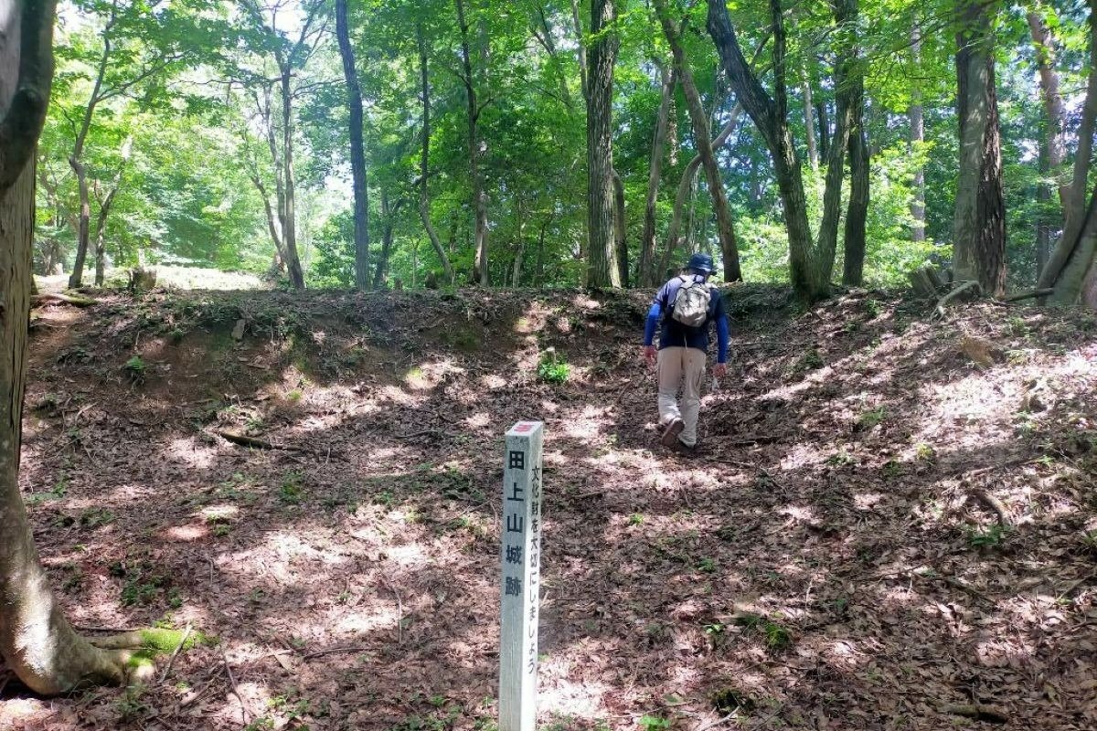賤ヶ岳合戦の際、秀長の陣が置かれた田上山砦
