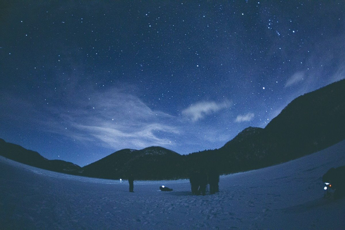 月明かりの下では意外なほど明るいナイトウォッチング体験