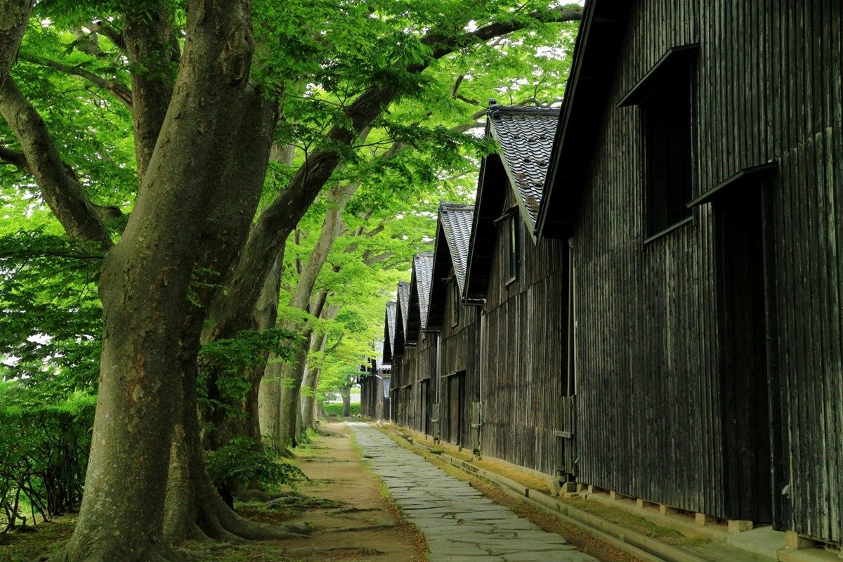 ケヤキ並木と三角屋根の倉庫は港町・酒田を代表する風景