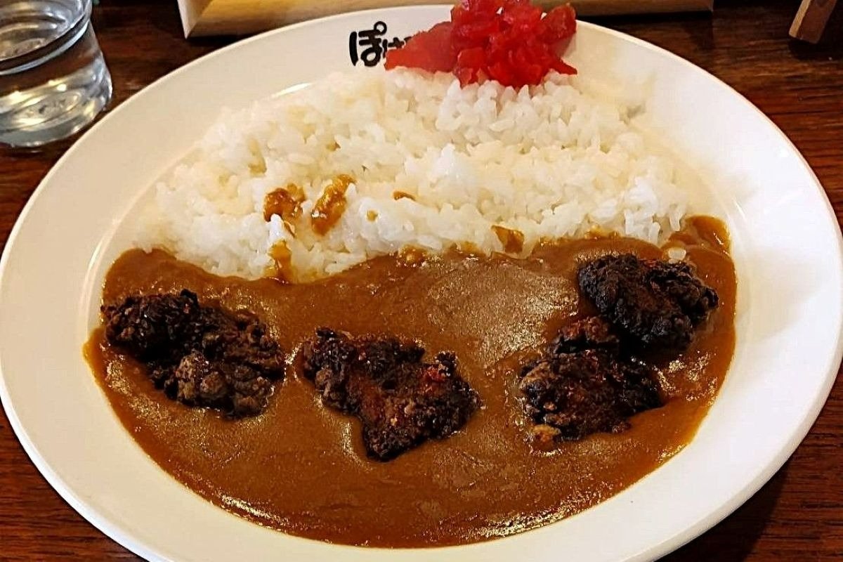 石炭をイメージした黒いザンギがトッピングされた「SLザンギカレー」