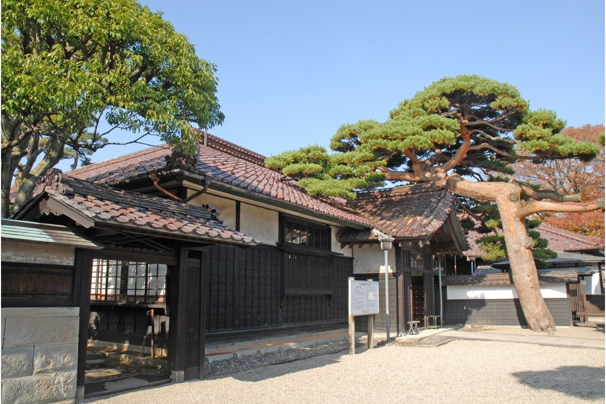 「臥龍の松」は、「門かぶりの松」の異名もあります