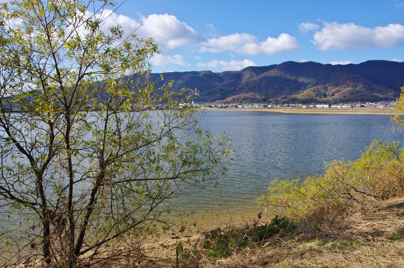 勝田池は周囲約1.8キロで周遊可。三豊平野の景色が素晴らしい