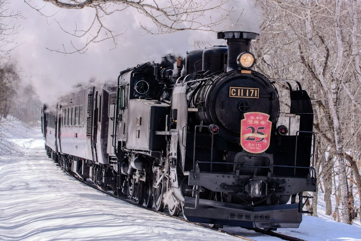 C11形171号機が牽引する「SL冬の湿原号」