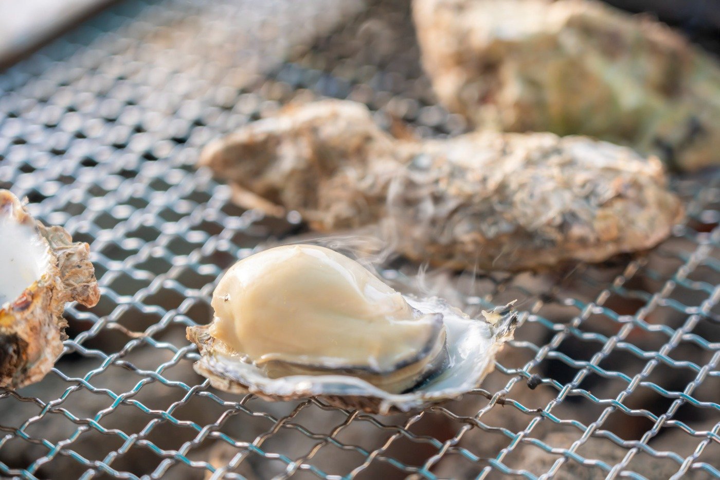 弥山の原始林から流れ込む水で育つカキ（イメージ）