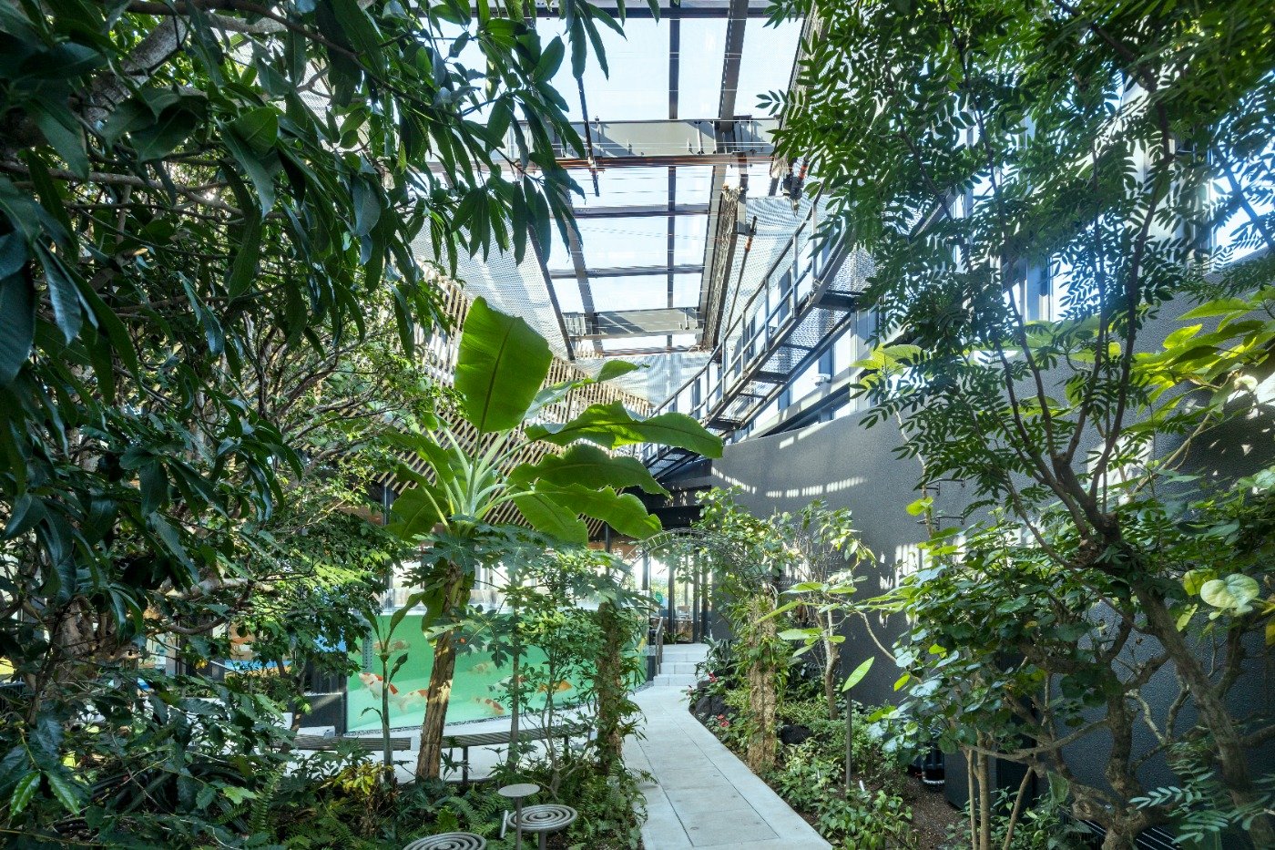 植物園「めぐりの森」。約60種類の亜熱帯植物が植えられています