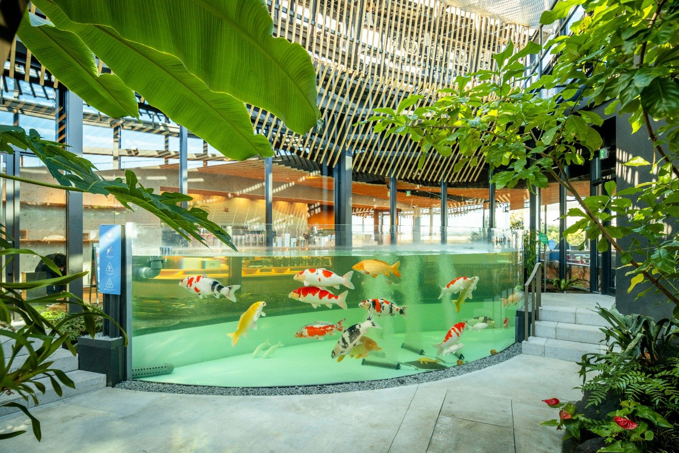 植物園には錦鯉が泳ぐ巨大な水槽も