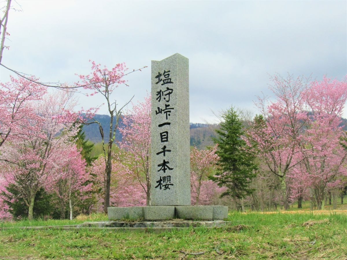 駅から徒歩2分ほどで見られる桜の名所