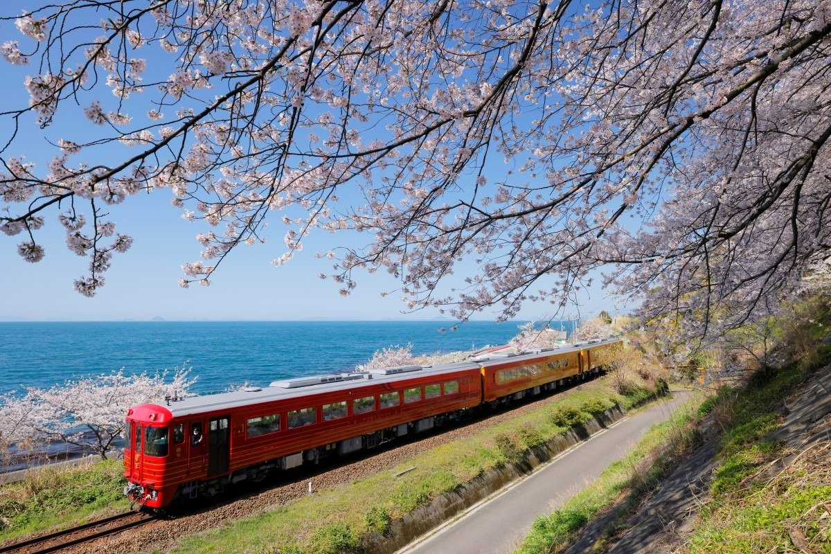 日本鉄道桜名所・予讃線―「伊予灘ものがたり」で楽しむ海と桜 | トレ