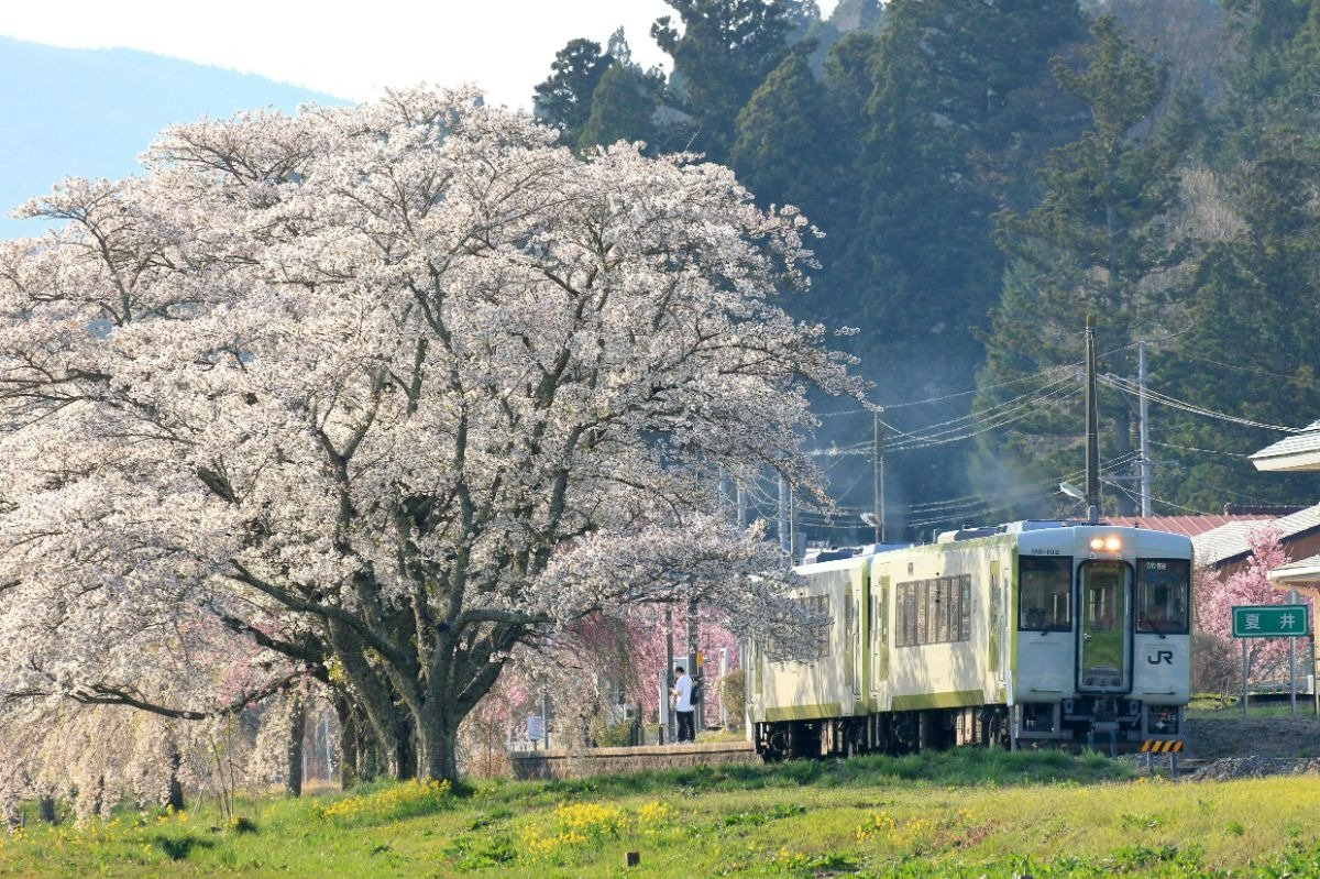 磐越東線夏井駅