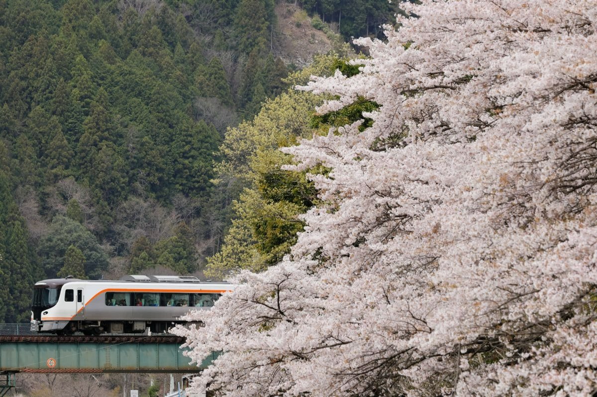 下呂駅付近。桜の見頃は４月中旬～下旬