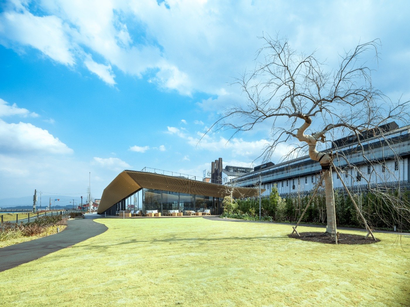 芝生エリア「いこいの庭」。テラス席もあります