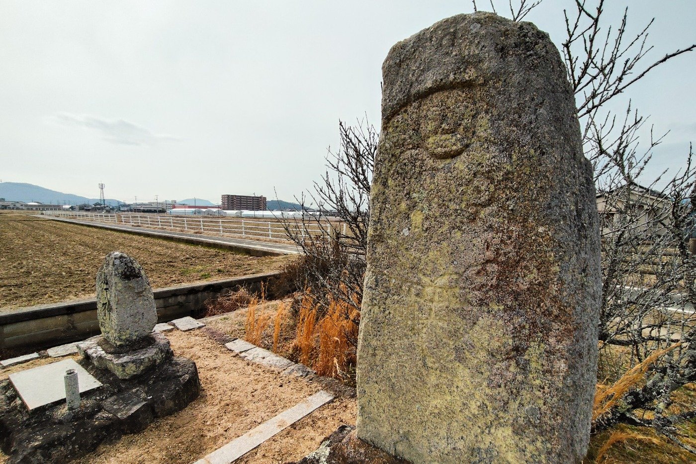 備中高松城跡にある文英石仏