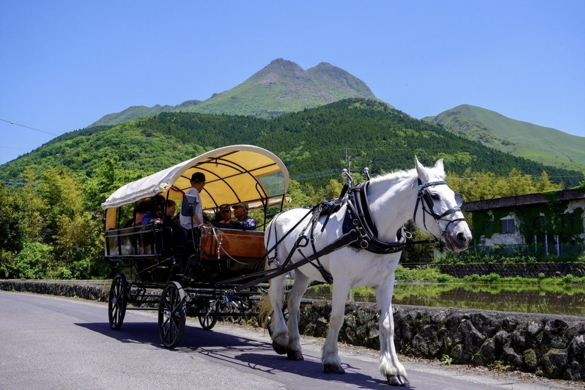 由布岳の眺めや木々、草花、小川などすべてが愛おしくなってくるのどかさ