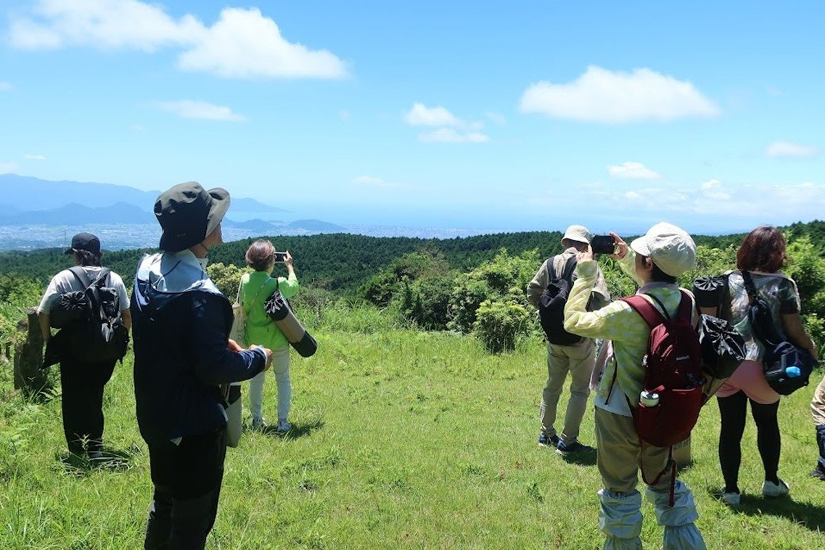森林浴コースにはビュースポットもあります