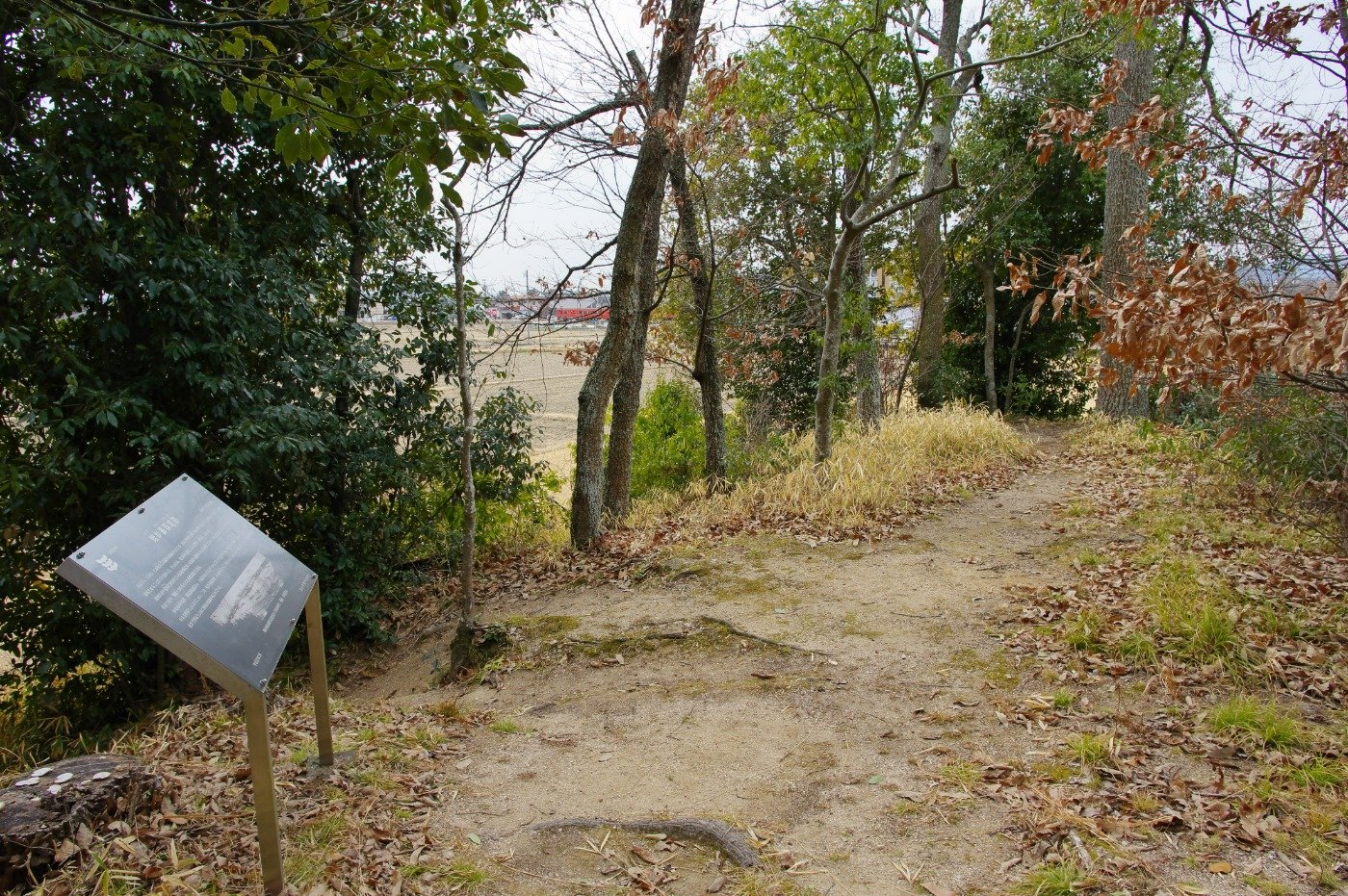 蛙ケ鼻。堤の上に登れます