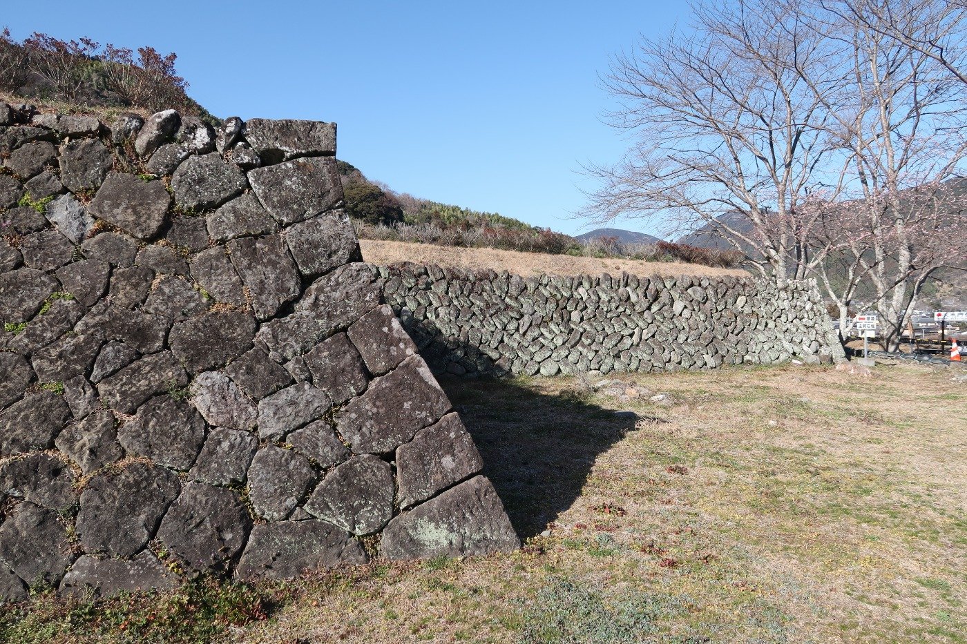 中心地でも違いが見られます