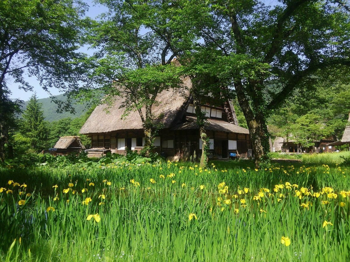 自然に包まれた園内は、昭和の農村の雰囲気