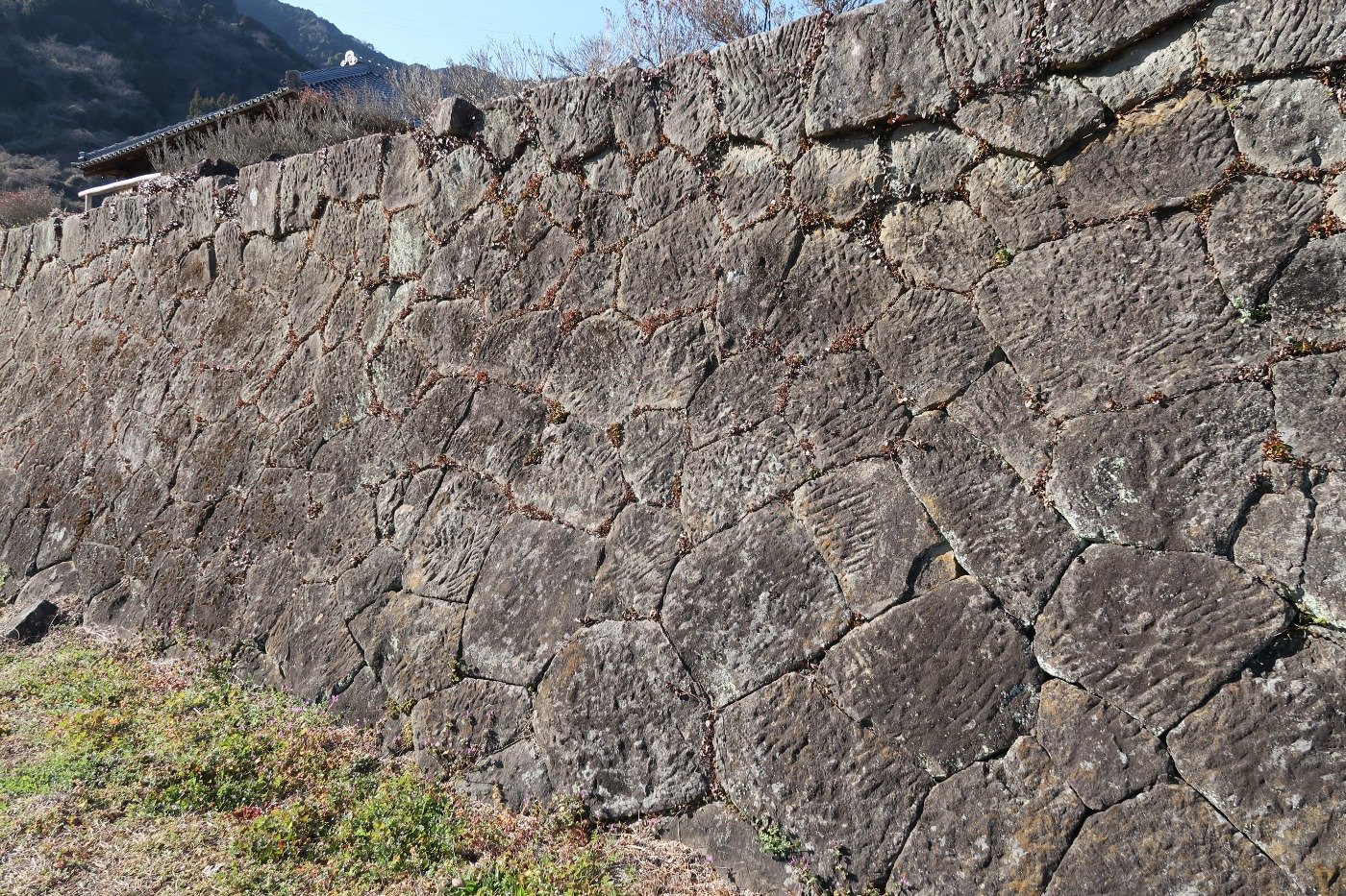 表面が美しく揃っています