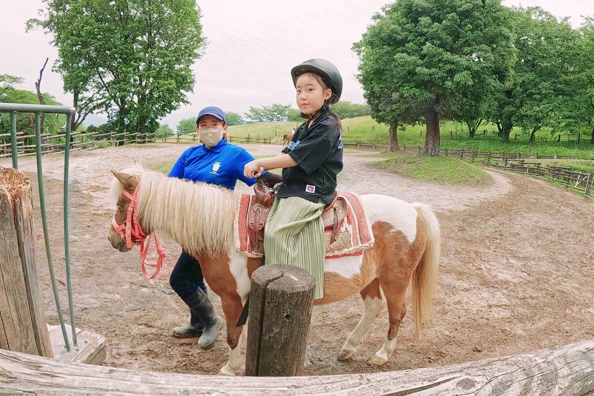 こどもでも安心なポニー乗馬