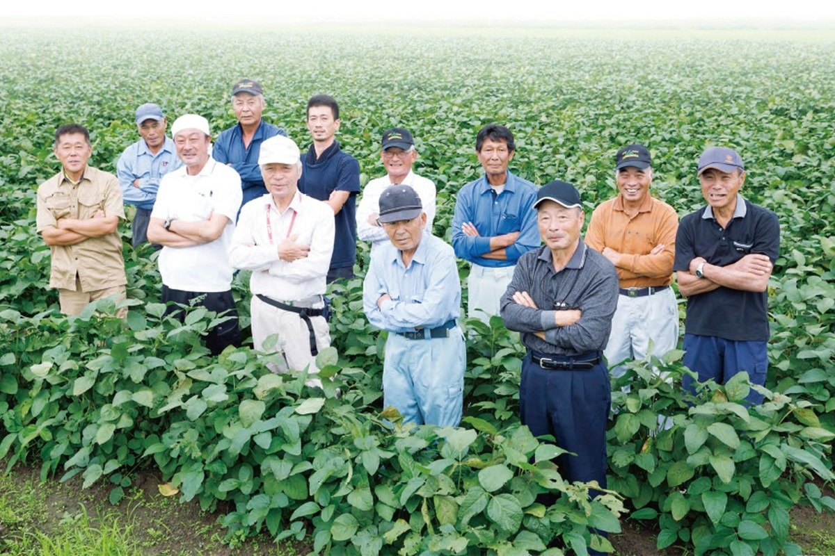 黒豆の栽培をする地元生産者の方々