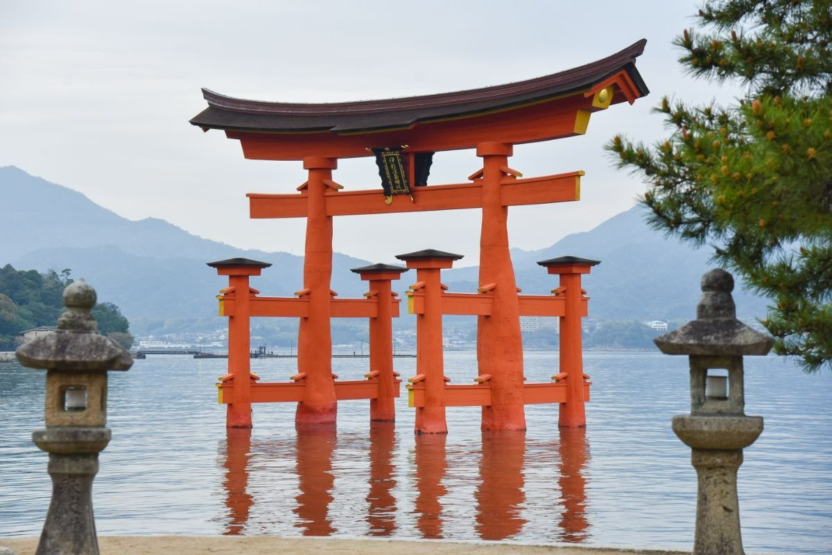 早朝なら人に遮られず大鳥居を撮影できます