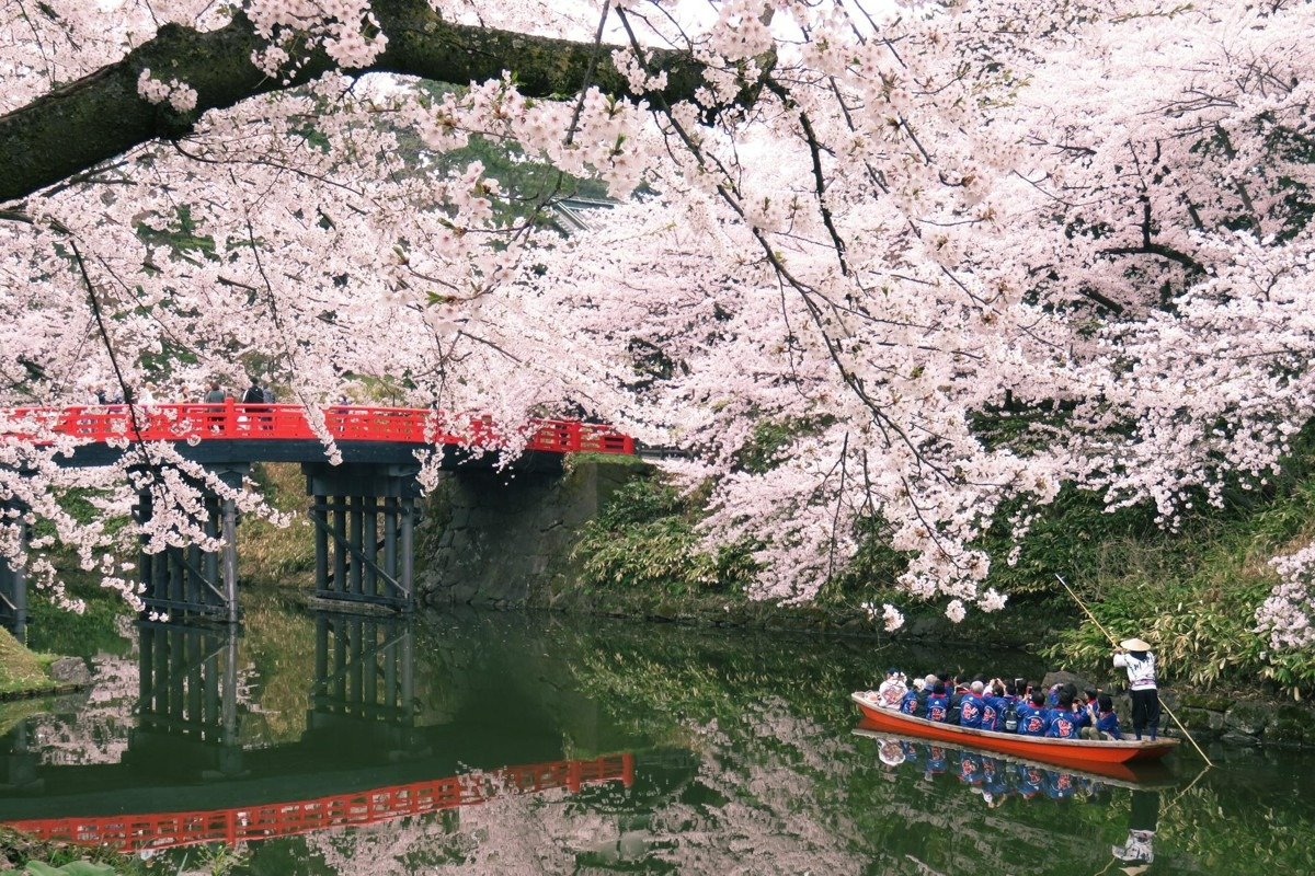 桜の名所であり、見頃の時期には中濠観光舟も出航
