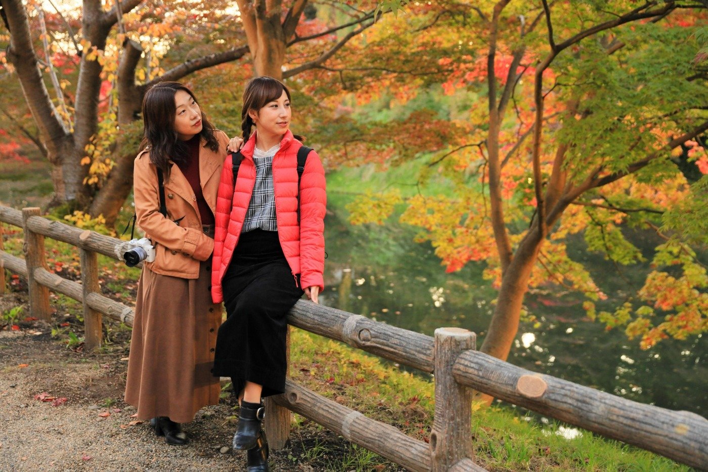 10月下旬から11月上旬には「弘前城菊と紅葉まつり」を開催