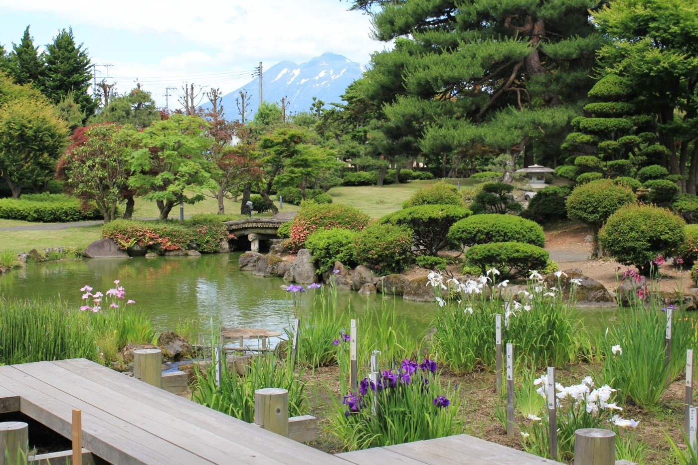 低地部庭園は池泉回遊式（ちせんかいゆうしき）庭園