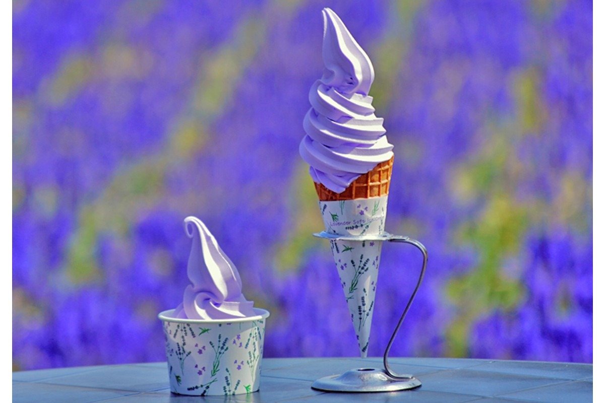 ほのかな香りが上品な「ラベンダーソフトクリーム」コーン400円／カップ450円
