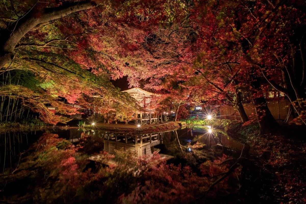 弁財天堂の紅葉ライトアップ