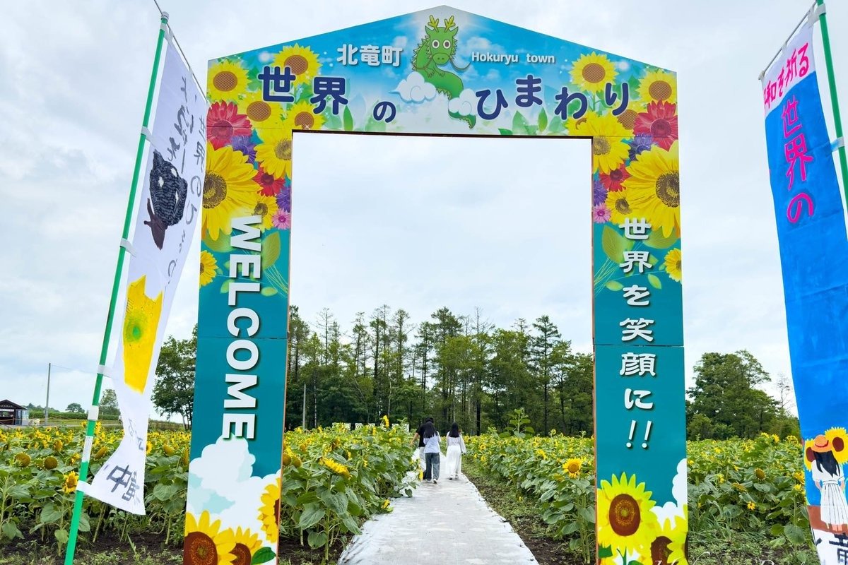 ゲートをくぐった先には普段あまり見ないひまわりの数々が