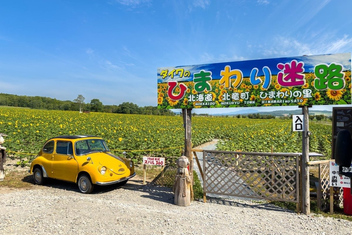 ひまわり迷路の入口にはかわいらしい黄色のクラシックカーも展示