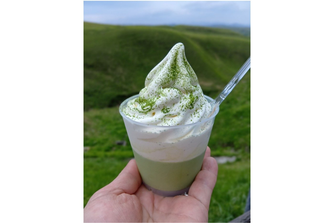 「阿蘇大観峰茶店」の「抹茶プリンソフト」600円