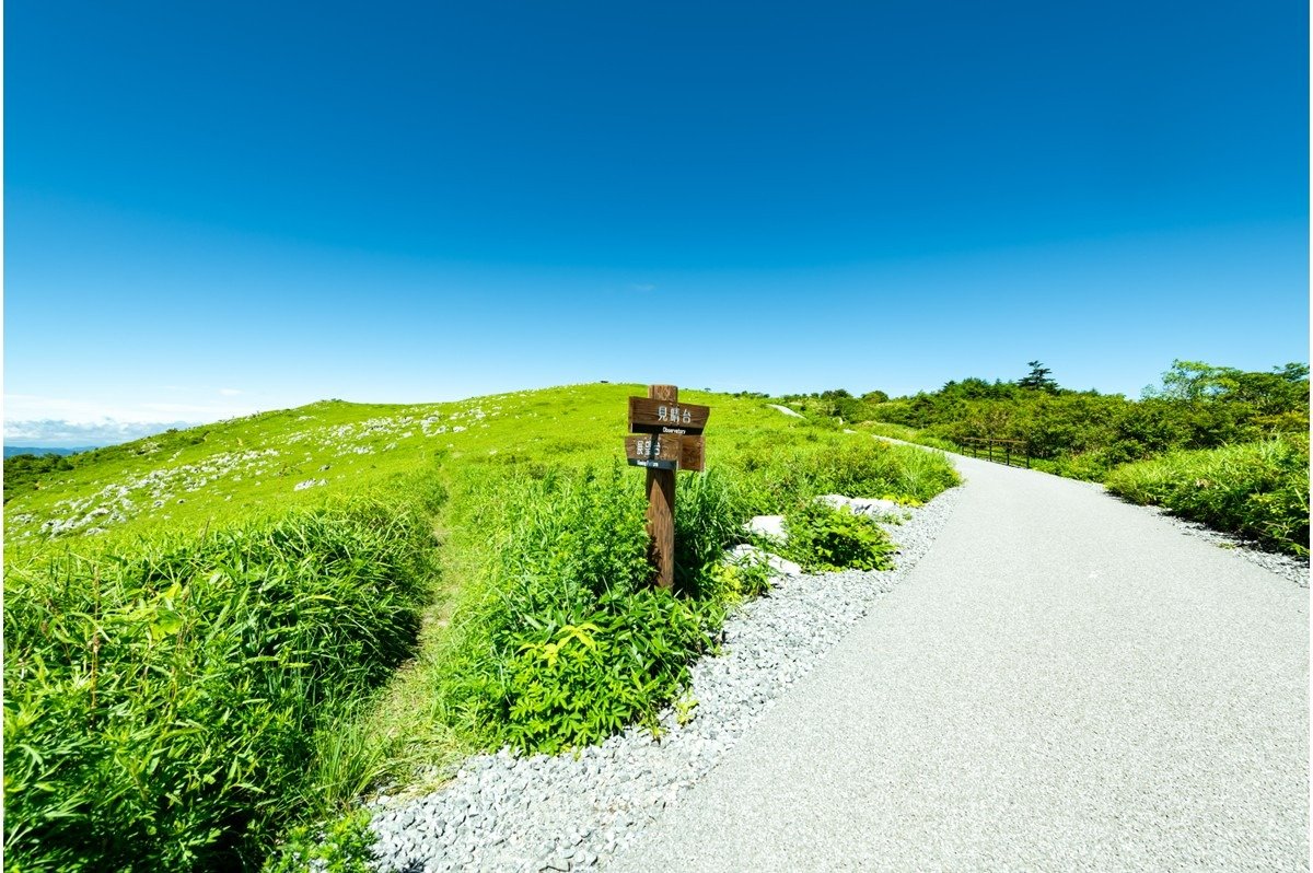 整備された遊歩道の先に展望台。近場には見晴台も