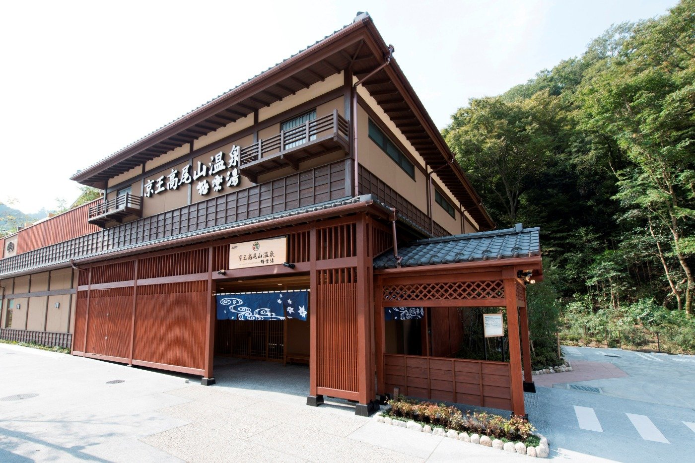 木を多用した建物が癒やしムードを高めています