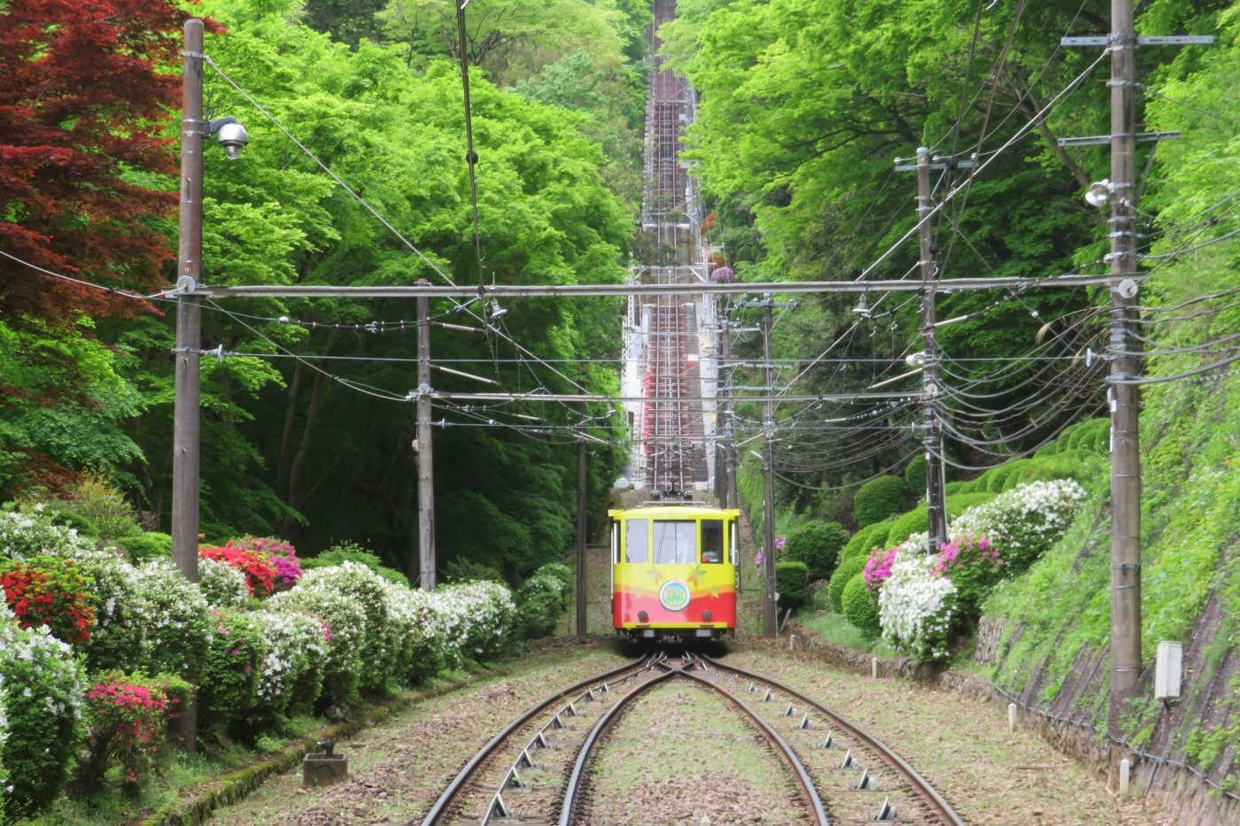 季節ごとの美しい自然の中を走るケーブルカー