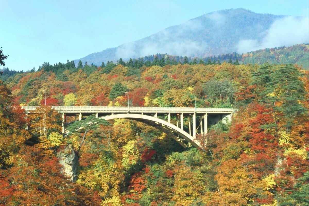渡辺さんもおすすめの鳴子峡の紅葉。見頃は例年10月下旬～11月上旬（写真／大崎市）
