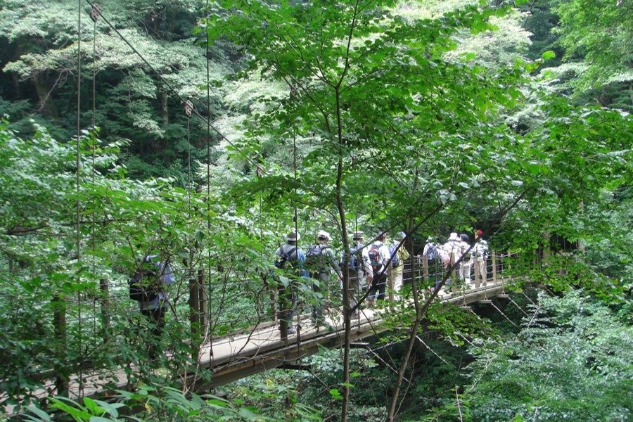 高尾山4号路吊り橋