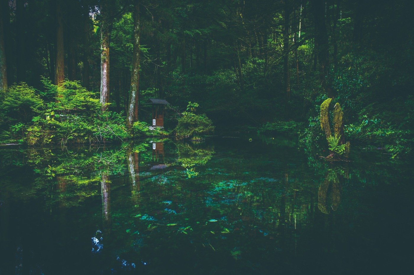 写真／熊本県観光連盟