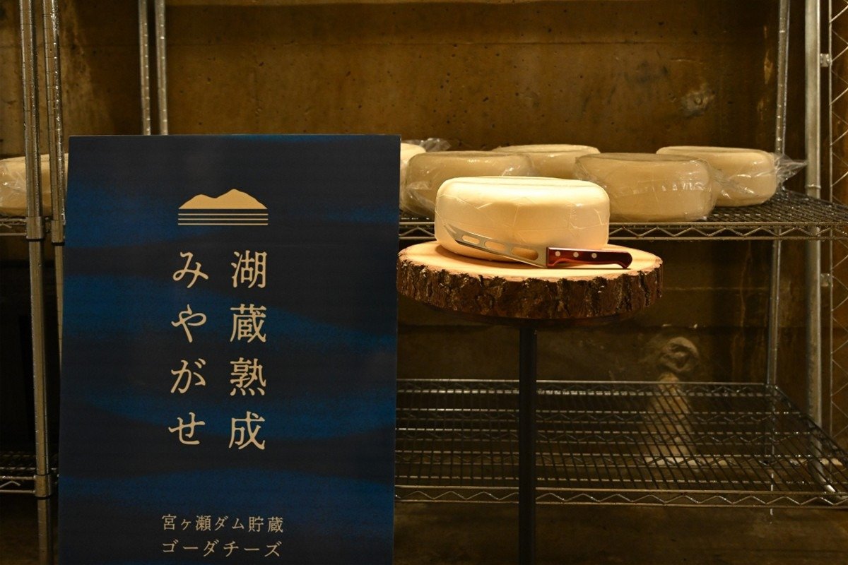 涼しい堰堤内で貯蔵するチーズ
