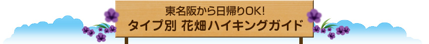 東名阪から日帰りOK！ タイプ別 花畑ハイキングガイド 