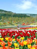 国営明石海峡公園