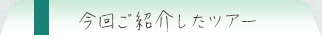 今回ご紹介したツアー