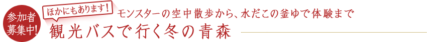参加者募集中！ ほかにもあります！モンスターの空中散歩から、水だこの釜ゆで体験まで 観光バスで行く冬の青森