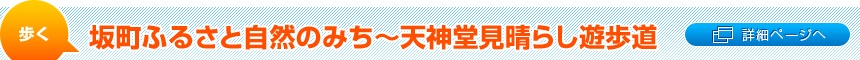 坂町ふるさと自然のみち～天神堂見晴らし遊歩道