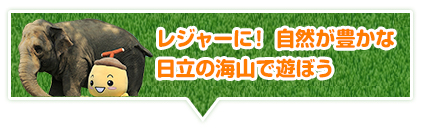 レジャーに！ 自然が豊かな 日立の海山で遊ぼう 