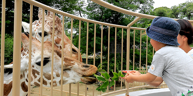 かみね動物園